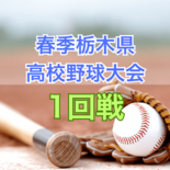 春季栃木県高校野球大会第1日 宇商や宇南、白鴎足利など登場《一部試合で…