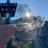 奥日光で初氷と初霜　深まる秋、木々も色づく