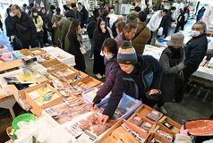 【夕刊】中央卸売市場で今年最後の朝市