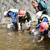 「元気に生きて」　ニッコウイワナ200匹、大谷川へ　閉校の清滝小、最後の放流活動
