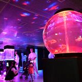 東武宇都宮百貨店で「サマーアクアリウム」始まる　水槽ライトアップで幻想的に　魚たち1200匹展示
