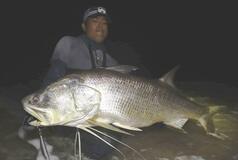 赤道直下で究極の釣り