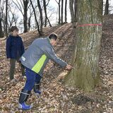 町の名木に危機　宇都宮大の演習林内で「ナラ枯れ」　周辺にはカタクリ群生も、塩谷町内初確認