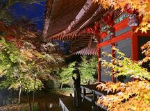 益子・円通寺で紅葉ライトアップ