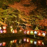 夜の水面に映る紅葉や和傘の光　小山・間々田八幡宮でライトアップ