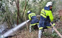 足利の山林火災