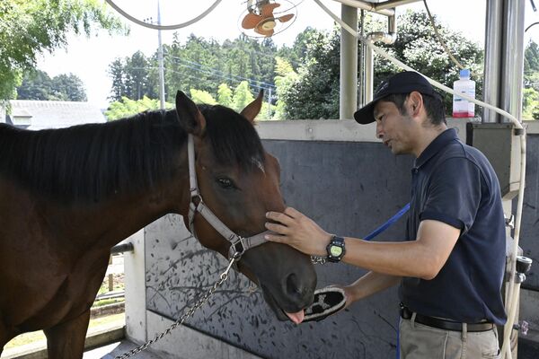 職員のサポートを受けて過ごす引退競走馬＝ＴＡＷ宇都宮事業所