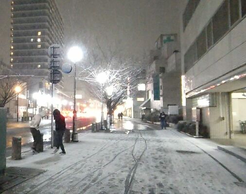 小山市内で確認された降雪