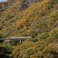 紅葉と山間走る列車の共演　日光・野岩鉄道沿線で見頃　ピークは今週末まで
