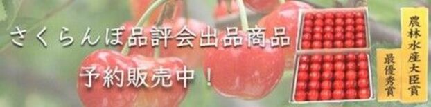 山形県さくらんぼ品評会受賞商品を限定販売