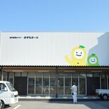 サイズが合わない子ども服、無料で交換しませんか 子育て支援イベント「と…