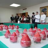 最高金賞のとちあいかは大田原の「くまかわいちご園」　宇都宮で食味コンテ…