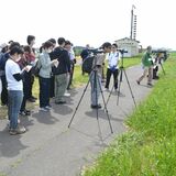 コウノトリ舞う環境作り学ぶ　小山・遊水地で新潟大院生