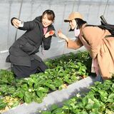 「いちご王国」アンバサダー倍増　イチゴ狩りで魅力再認識
