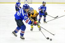 第50回関東少年アイスホッケー選手権大会（小学生・最終日）