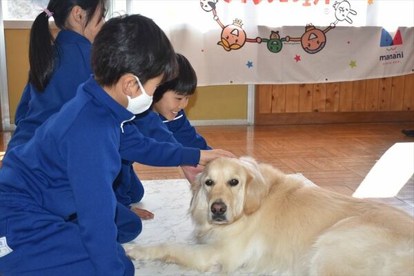 犬と触れ合う児童たち