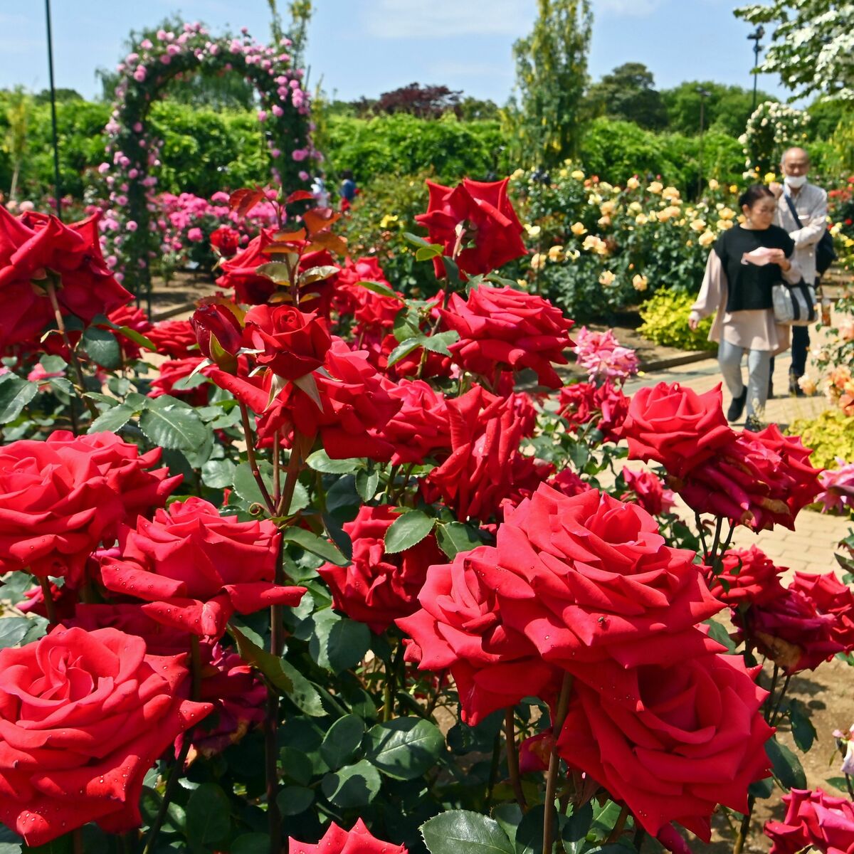 img_f800fc020686daed9a266c5f70