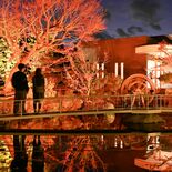 昼間とは違う顔　光で彩る日本庭園　佐野・田村耕一美術館でライトアップイ…