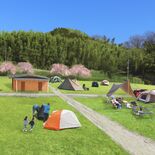 ５月にキャンプ場OPEN　日光の新高徳駅近くの公園に　「手ぶらプラン」…