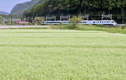 ソバ開花 秋の気配　