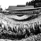 「あか抜けた髪形にしてくれる」那珂川に疎開、評判に　つらい思いも