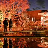 昼間とは違う顔　光で彩る日本庭園　佐野・田村耕一美術館でライトアップイベント