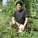 健康寿命向上に　薬用植物食品化で６次化認定　益子の落合さん