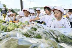 野菜 じっくり品定め