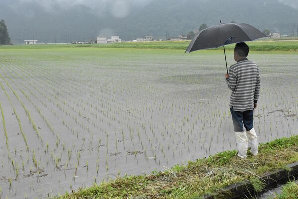 「縁故米」購入の依頼を多く受ける農業男性＝６月上旬、宇都宮市