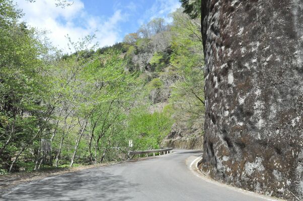 ５年ぶりに全線開通した林道・作原沢入線