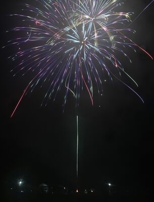 横枕の夜空を彩った花火