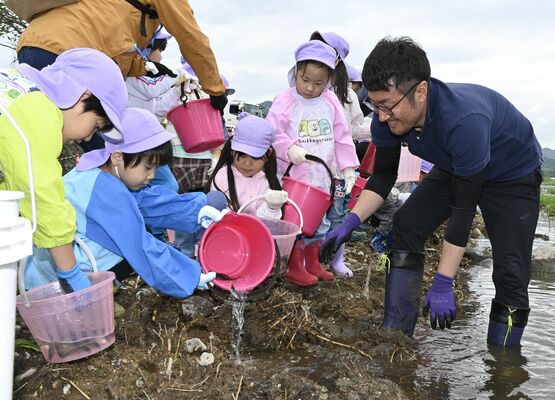 稚アユを放流する園児たち
