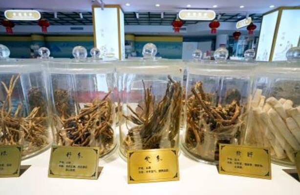 　中医薬を扱う店舗で展示される生薬＝７日、北京（共同）