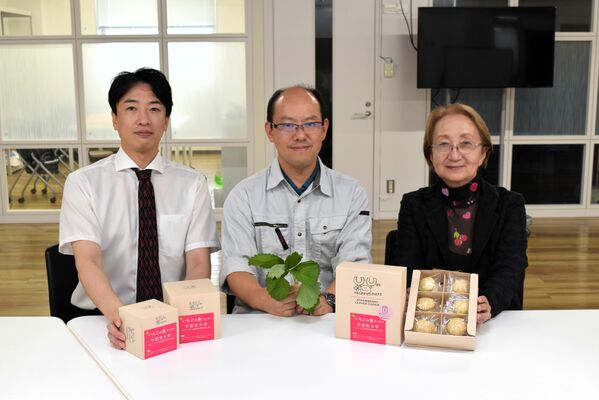 「いちごの葉クッキー」を商品化した佐藤教授（中央）と堂山室長（右）ら＝宇都宮市