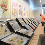 昆虫学パイオニア・メーリアンの傑作図譜　日光２会場で７月９日まで展示