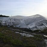 真岡や小山で発生の突風、ダウンバーストかガストフロント　宇都宮地方気象…