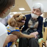 セラピー犬７匹と交流　栃木の老健施設で高齢者、頭なで話しかけ自然な笑顔…
