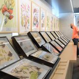 昆虫学パイオニア・メーリアンの傑作図譜　日光２会場で７月９日まで展示