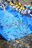 「大きくなってね」稚アユ放流　茂木の園児ら60人