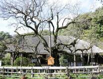 歌人、画家が愛した自然