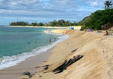 ハワイ、ビーチ激減の懸念