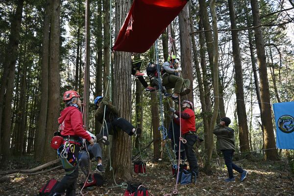 ツリークライミングを楽しむ子どもたち=7日午前、宇都宮市新里町
