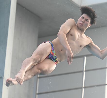 成年男子３メートル板飛び込み決勝　須山の６回目の演技＝鴨池公園プール