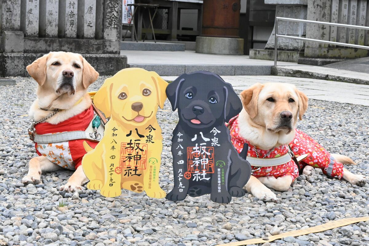 御朱印で盲導犬を支援！宇都宮の今泉八坂神社が寄付付き頒布を開始