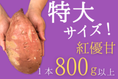 茨城県「いいものいっぱい広場」ショップの商品 約200点が「お客様送料…