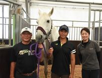 県勢最高齢70歳国体で飛躍　本業すし職人、手綱も握る　馬術・増山さん