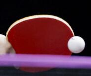 卓球日本は中国に敗れ準優勝