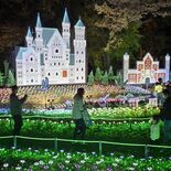 メルヘンの世界出現　無数の光りの花、鮮やかに　グリムの森でイルミネーシ…