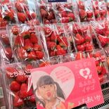 とちあいかの販売力強化　栄養面、食味を強調　栃木県がテストマーケティング