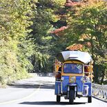 渓谷沿いの紅葉、トゥクトゥクで！　那須塩原 「渓谷の道」で初運行